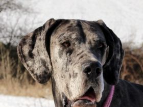 zur Siemauer Sonnenuhr