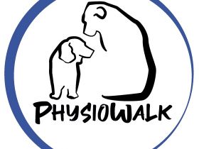 PhysioWalk