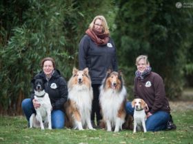 Learning by Dog - Die Hundeschule