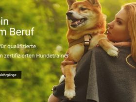 Ausbildung zum Hundetrainer