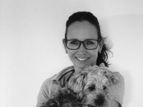 Gesundepfote - Physiotherapie für Hunde