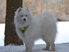 Areon You are on Fleek