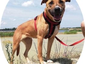 SUNNY - DER NAME IST PROGRAMM! (mit Video!)