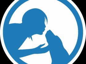 Susanne Hibinger  Hundeschule Norderstedt