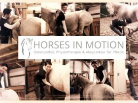 HORSES IN MOTION
