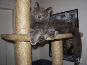 Quirly from Evermind