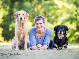 Hundeschule dein Glücksund