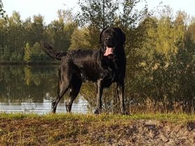 Once in a Lifetime Fast and Furious - Marley