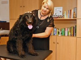 Tierheilpraxis Tierisch gut Weilheim Teck