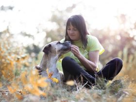 HERZ - HundeERziehungsZentrum