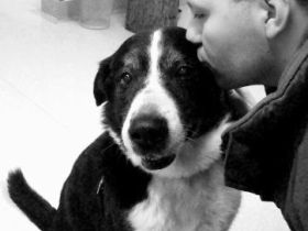 Sören Schnabel Dogsitting