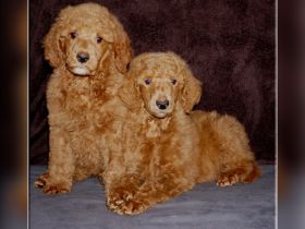 Chateau de Fontainebleau