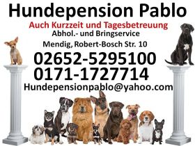 Hundepension Pablo