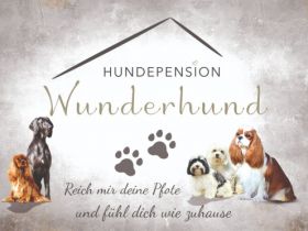 Pension Wunderhund , Hundepension