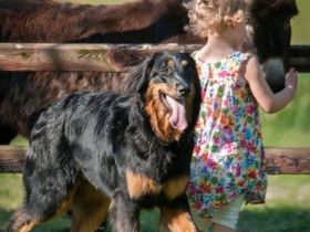 Nathalies Hovi Rudel