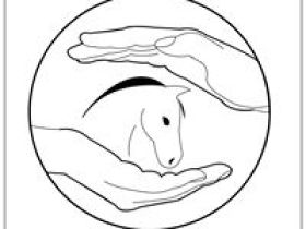 Mobile Pferdeheilpraxis Stephanie Schilder