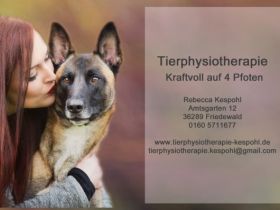 Tierphysiotherapie Kraftvoll auf 4 Pfoten