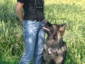 Hundepension Canis Lupus GbR