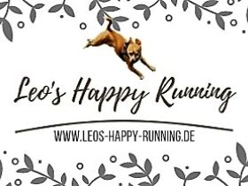 Tierphysiotherapie Leo's Happy Running/Susanne Lüke