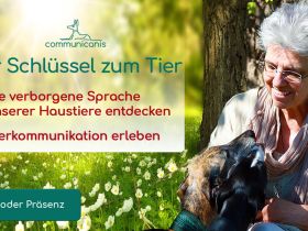 Basisseminar Tierkommunikation - weil Verstehen die Basis ist | 03.05.25