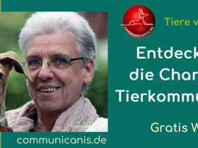 Die Chance der Tierkommunikation erkennen & nutzen  kostenfrei & online 12.06.25