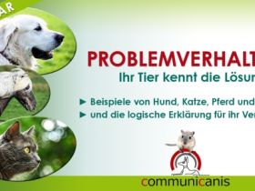 Problemverhalten ? Ihr Tier kennt die Lösung ! 30.08.24