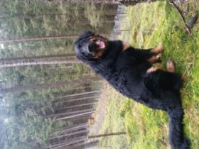 Ulan a.d. Schreckhäusl