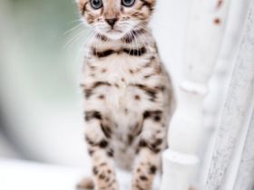 aus dem Sommerviertel