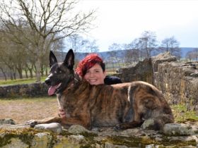 Dog Connection fairbindet