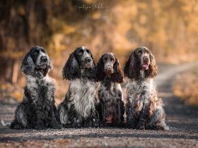 vom Haus am Österberg