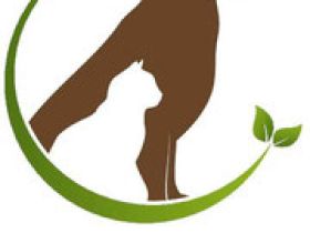 Tierphysiotherapie Johanna Engemann