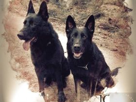 von der Heldenschmiede