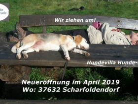 Villa Hunde Freude