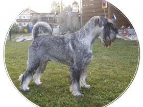 Cristobal vom Achterplätzchen