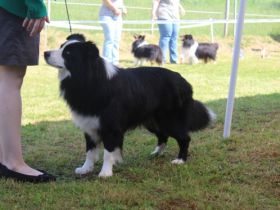 Beautiful magic eyes Eshmoor