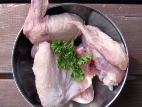 BARF Praxisseminar mit Entgiftung