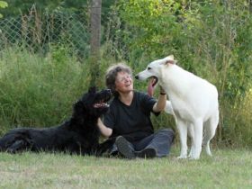 Forsthaus Metzelthin - Die freundliche Hundeschule