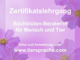 www.tiersprache.com - Weiterbildungen für Tierheilpraktiker und Tierhalter (weltweit)