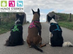 Hunde Stärken