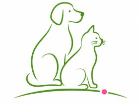 Tierarztpraxis für Tierverhaltenstherapie und Tierpsychologie