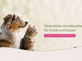 Tierarztpraxis für Tierverhaltenstherapie und Tierpsychologie