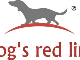 Dog's red line