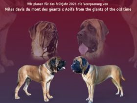 from the giants of the old time