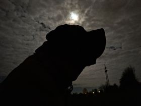 from the giants of the old time