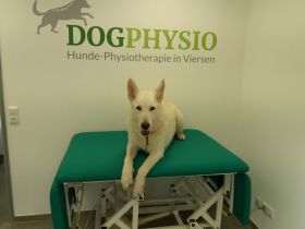 DogPhysio-Viersen