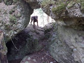 Hundewanderung Fränkische Schweiz