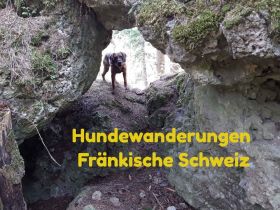 Hundewanderung Fränkische Schweiz