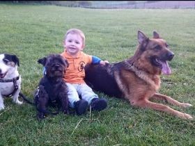 SV OG Untersiemau-Weißenbrunn e.V.