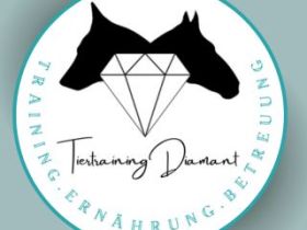 Tiertraining Diamant