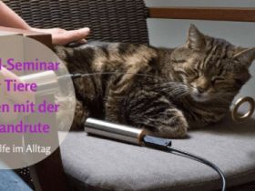Online Messen mit der Einhandrute Spezial-Seminar für Tiere